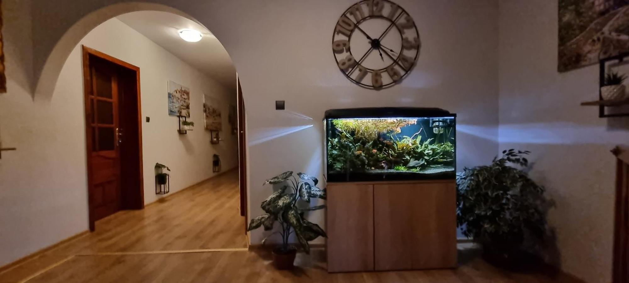 Noclegi Na Lacznej Швєбодзіце Екстер'єр фото